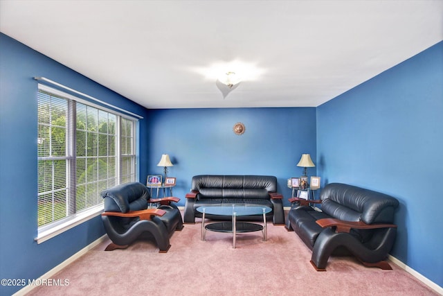 5 Isabella Dr, Lakewood, NJ 08701 - living area with carpet and baseboards