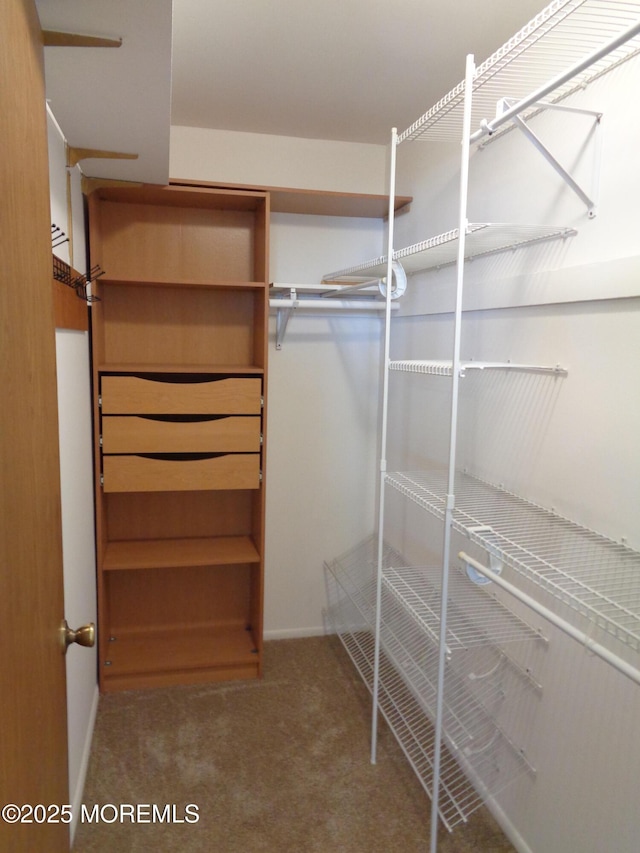 10A Molly Pitcher Blvd, Whiting, NJ 08759 - walk in closet with carpet