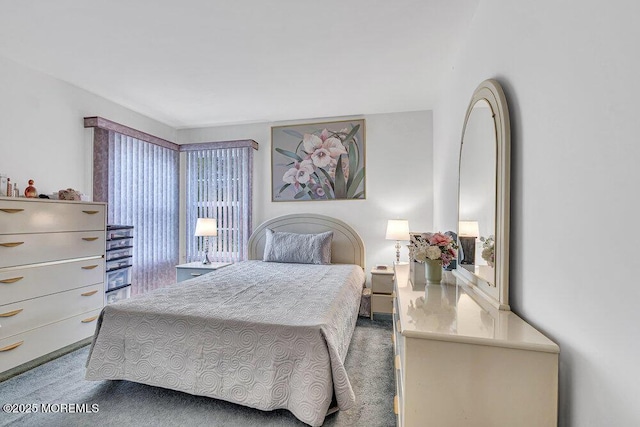 303 Diamond Rd, Jackson, NJ 08527 - view of carpeted bedroom