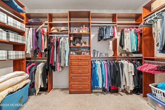 spacious closet with carpet floors