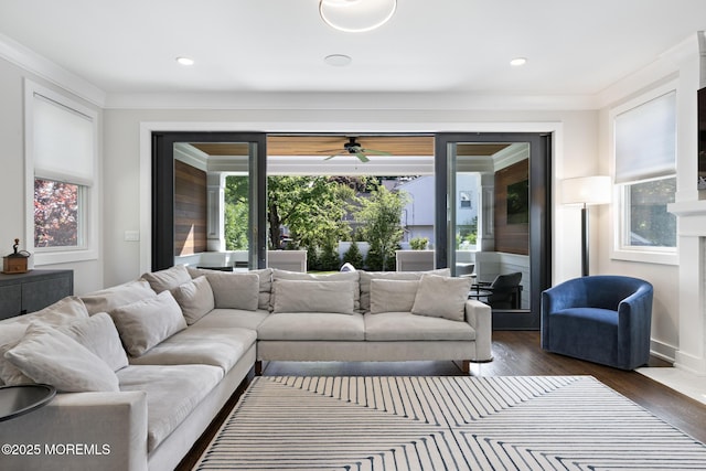 living room with plenty of natural light, dark wood finished floors, crown molding, a ceiling fan, and recessed lighting
