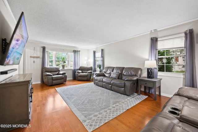 living area featuring wood finished floors, crown molding, a textured ceiling, and baseboards