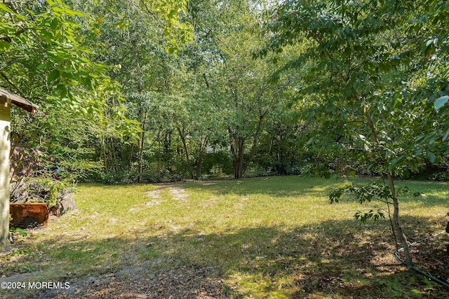 141 Jackson Mills Rd, Jackson, NJ 08527 - photo 18