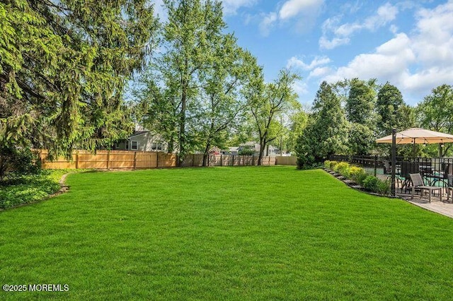 view of yard featuring a patio