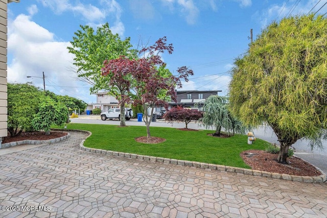 251 Genes Dr, Toms River, NJ 08753 - surrounding community featuring a yard