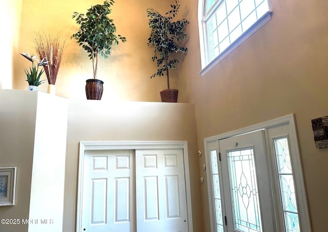 entrance foyer featuring a towering ceiling