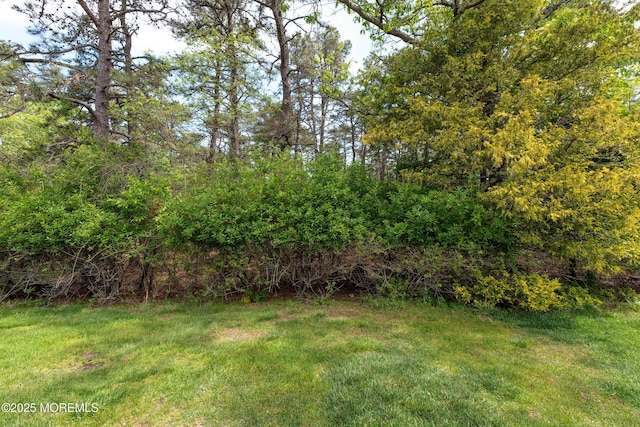 102 Clear Lake Rd, Whiting, NJ 08759 - view of grassy yard