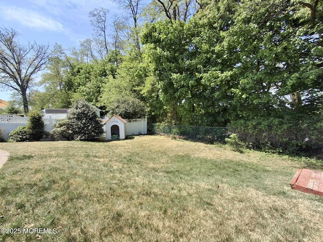 22 Macedulski Ter, South Amboy, NJ 08879 - view of yard featuring a shed