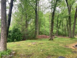 100 Gravel Hill Spotswood Rd, Monroe, NJ 08831 - photo 4