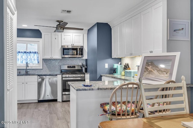 40 Mallard St Unit B, Manchester, NJ 08759 - kitchen with appliances with stainless steel finishes, a sink, a ceiling fan, white cabinetry, and light stone counters