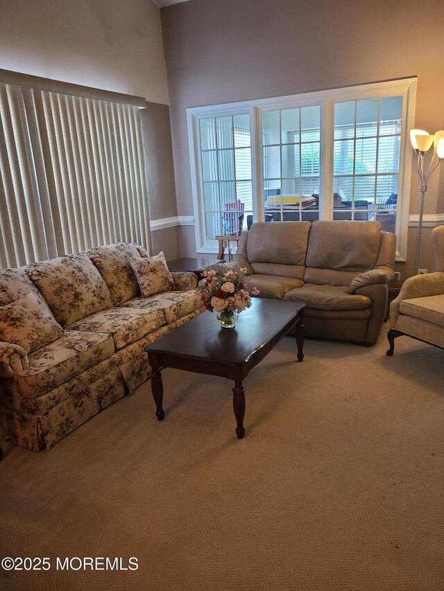 1207A Thornbury Ln Unit A, Manchester, NJ 08759 - view of carpeted living area