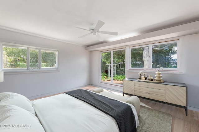 bedroom featuring multiple windows, light wood-style flooring, and ceiling fan