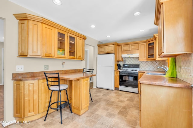 kitchen with freestanding refrigerator, range with gas stovetop, a sink, under cabinet range hood, and a kitchen breakfast bar