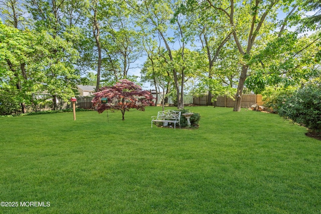 view of yard