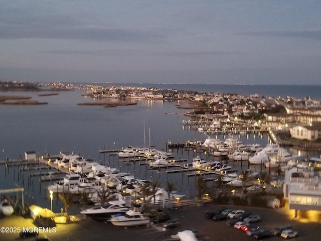 1 Channel Dr Unit 1203, Monmouth Beach, NJ 07750 - water view with numerous boat docks
