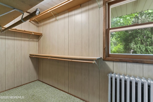 205 Edgemere Dr, Toms River, NJ 08755 - walk in closet with radiator and carpet flooring