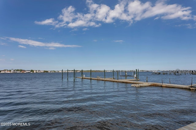 224 Kettle Creek Rd, Toms River, NJ 08753 - photo 42