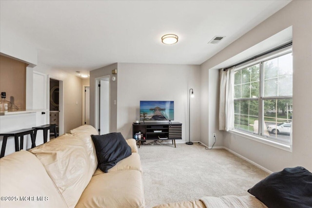 30 Chinkaberry Ct, Howell, NJ 07731 - living area featuring carpet flooring and baseboards