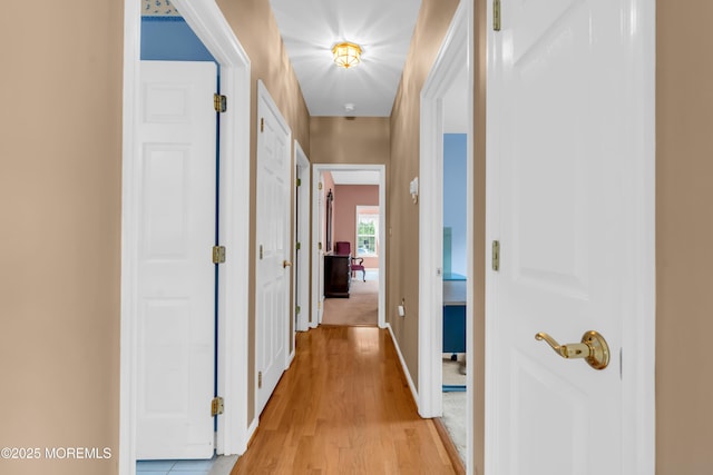 4 Saxony Cir, Manchester, NJ 08759 - hallway featuring light wood finished floors and baseboards