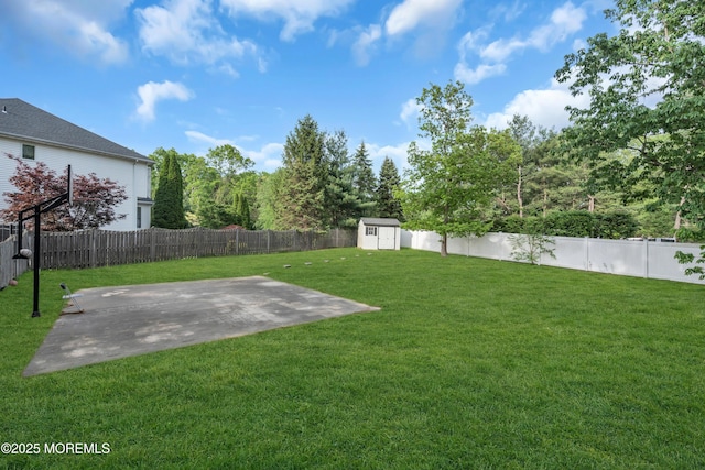 view of yard with a storage shed, a patio, and an outdoor structure