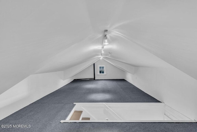 7 Sunset Dr, Asbury Park, NJ 07712 - additional living space featuring carpet flooring and lofted ceiling