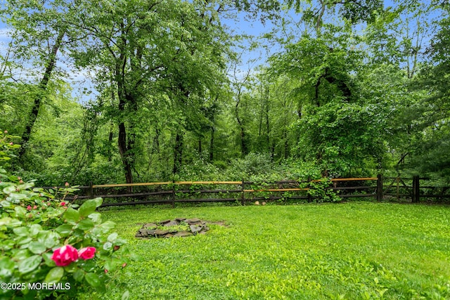 view of yard