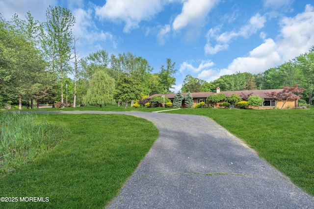 view of front facade with a front lawn and driveway