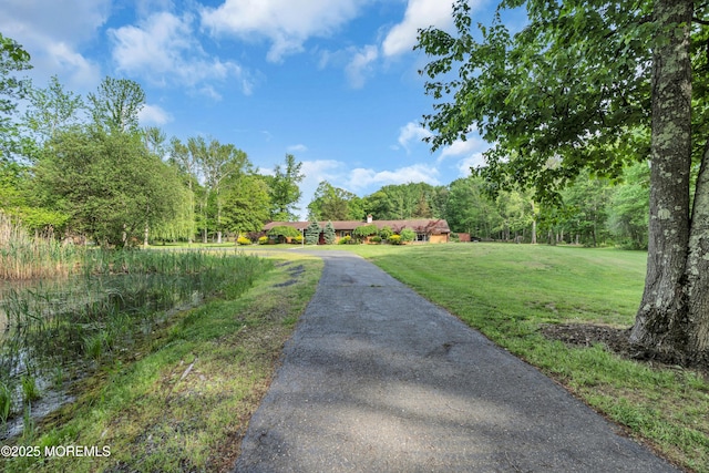 view of asphalt driveway
