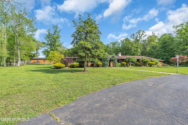 view of front of house featuring a front lawn and a chimney