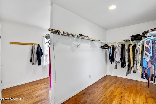 48 Joseph St, Manalapan, NJ 07726 - walk in closet with wood finished floors