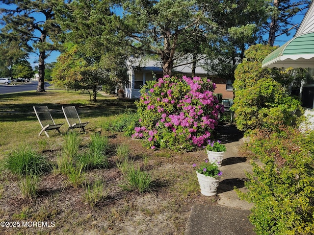 31 Brooks Ct Unit D, Whiting, NJ 08759