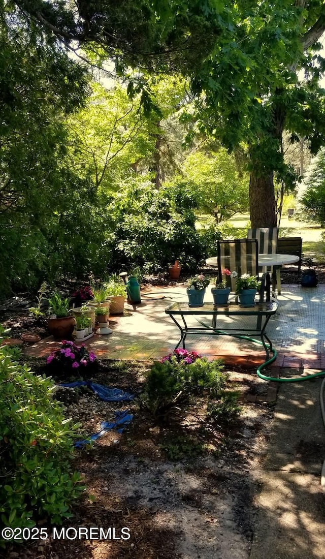 31 Brooks Ct Unit D, Whiting, NJ 08759 - surrounding community with a patio