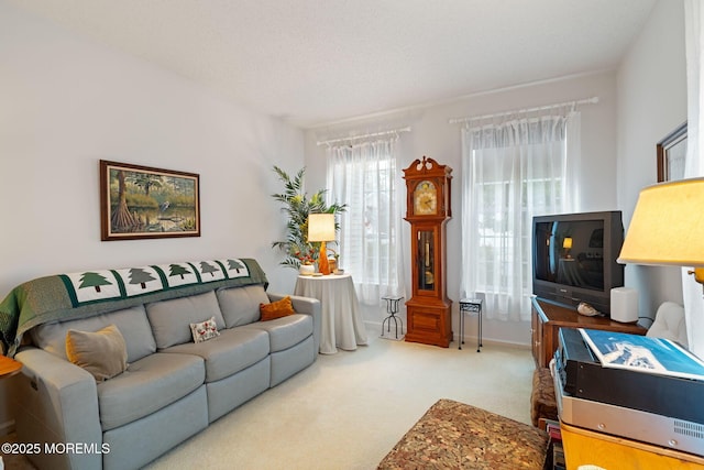 144 Sandpiper Rd, Barnegat, NJ 08005 - view of carpeted living room