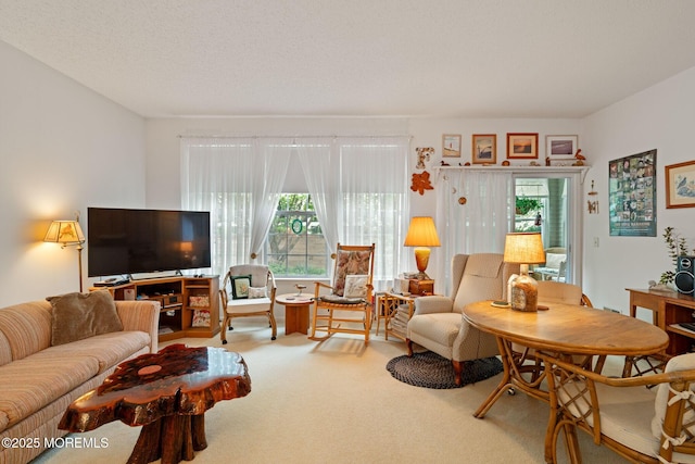 144 Sandpiper Rd, Barnegat, NJ 08005 - living area featuring carpet flooring