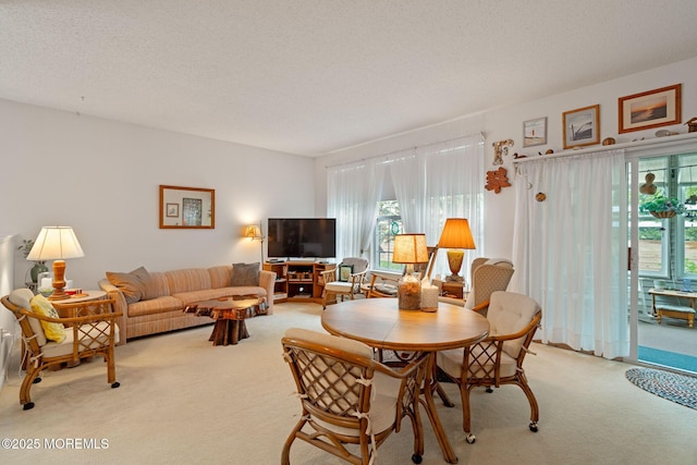 144 Sandpiper Rd, Barnegat, NJ 08005 - living area with light colored carpet, plenty of natural light, and a textured ceiling