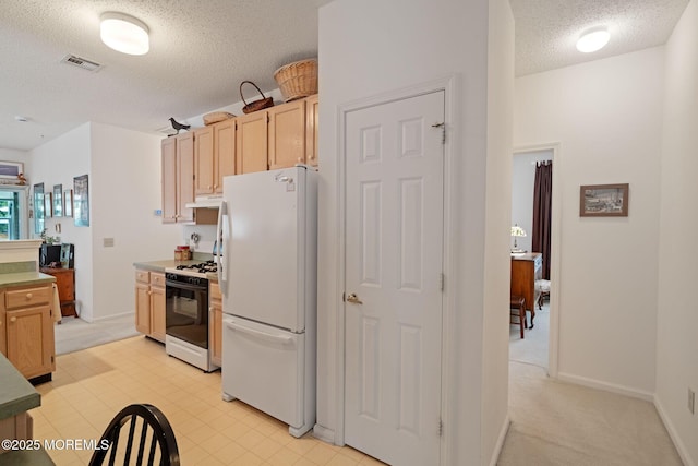 144 Sandpiper Rd, Barnegat, NJ 08005 - kitchen with white appliances, a textured ceiling, under cabinet range hood, light brown cabinetry, and light countertops