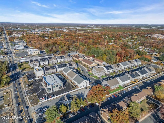 25 Blue River Way, Lakewood, NJ 08701 - aerial view of property and surrounding area