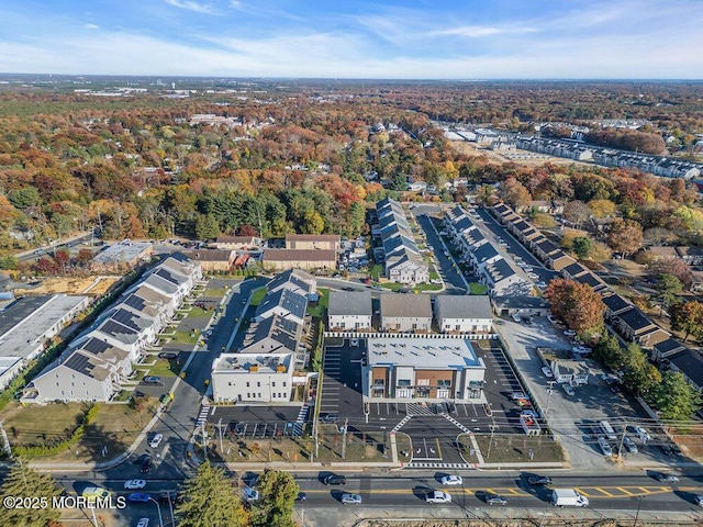 25 Blue River Way, Lakewood, NJ 08701 - aerial view of property's location