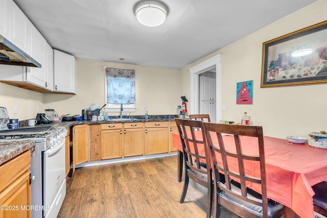 19 Union Ave, Freehold, NJ 07728 - kitchen with white range with gas stovetop, a sink, dark wood-style floors, under cabinet range hood, and dark stone countertops