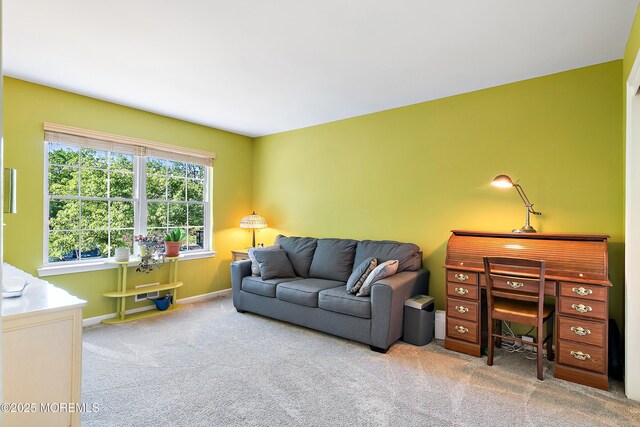 14 Walnut St Unit 207, Toms River, NJ 08753