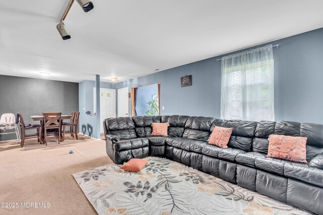 716 Zlotkin Cir Unit 1, Freehold, NJ 07728 - living room with carpet