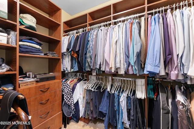 68 Hedgerow Ln, Manalapan, NJ 07726 - view of walk in closet