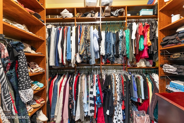 68 Hedgerow Ln, Manalapan, NJ 07726 - view of spacious closet