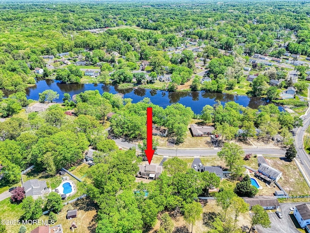 bird's eye view of a large body of water