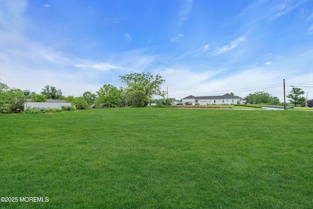 211 Long Swamp Rd, New Egypt, NJ 08533 - view of green lawn