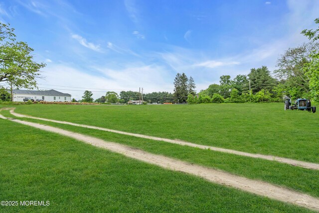 211 Long Swamp Rd, New Egypt, NJ 08533 - view of green lawn