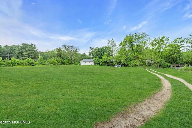 211 Long Swamp Rd, New Egypt, NJ 08533 - view of green lawn