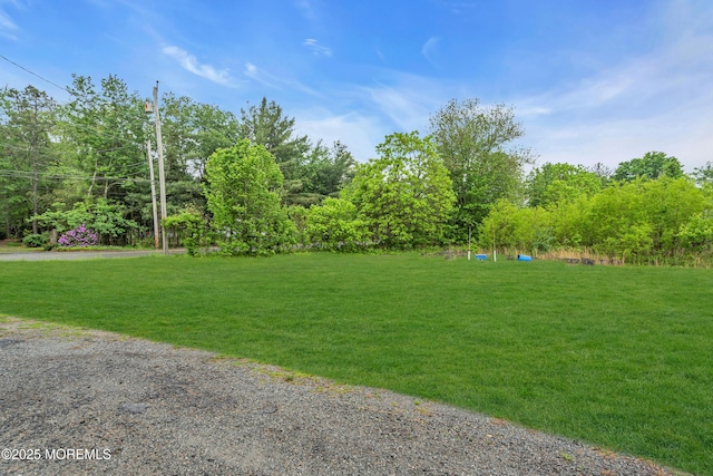 211 Long Swamp Rd, New Egypt, NJ 08533 - view of grassy yard