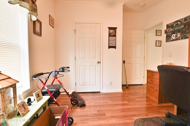 39 Goldenrod Pl, Jackson, NJ 08527 - office featuring light wood-style floors and crown molding