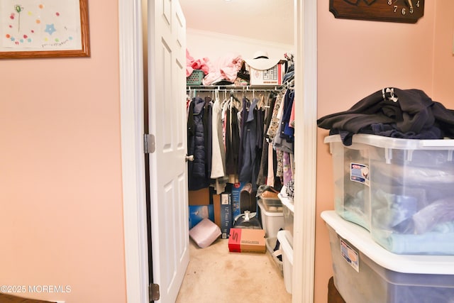 39 Goldenrod Pl, Jackson, NJ 08527 - walk in closet featuring carpet flooring